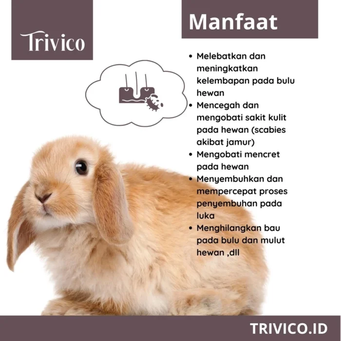Trivico Minyak VCO Hewan Spray 100ml - Obat Ampuh Scabies, Kurap, Gudik, serta Jamur pada Hewan - Image 5