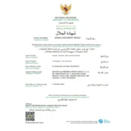 Trivico Minyak VCO Virgin Coconut Oil 250ml - 100% Murni, Cold Pressed, USDA Organik - Image 6